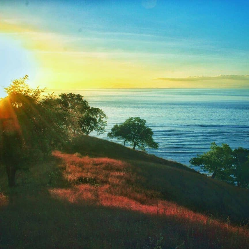 instagram.com/lambersaka