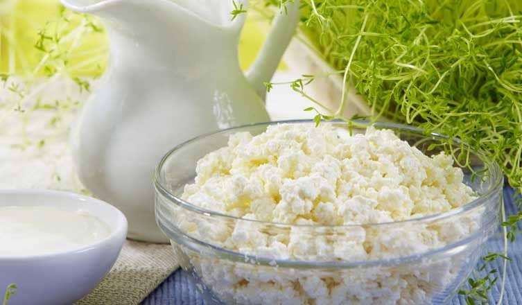 wikihomenutrition.com