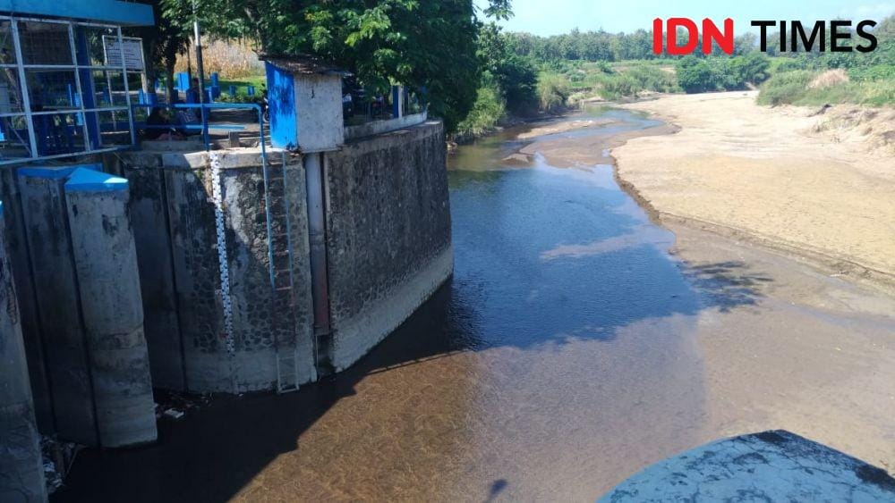 IDN Times/Fariz Fardianto