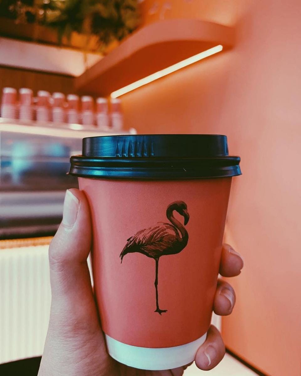 Instagram.com/ochie_alexander