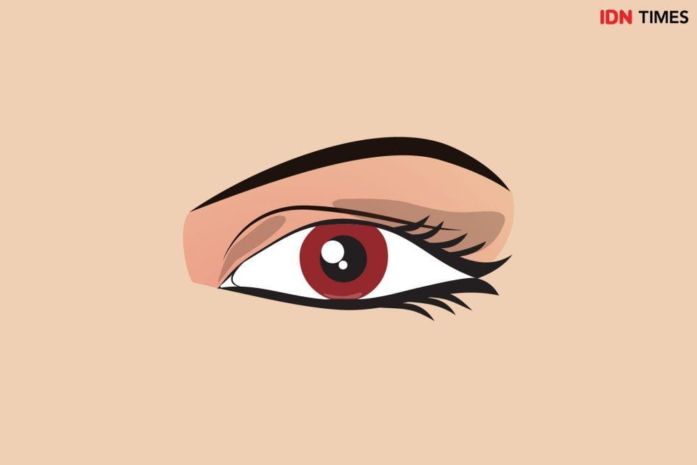 IDN Times/Arief Rahmat