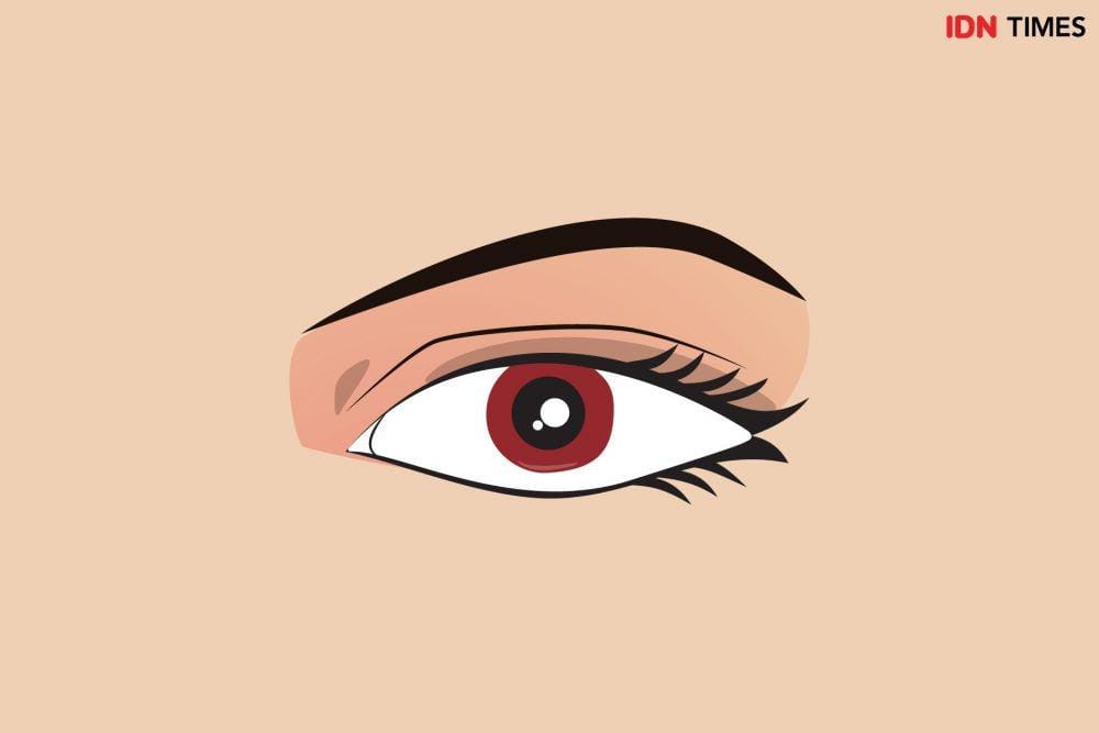 IDN Times/Arief Rahmat