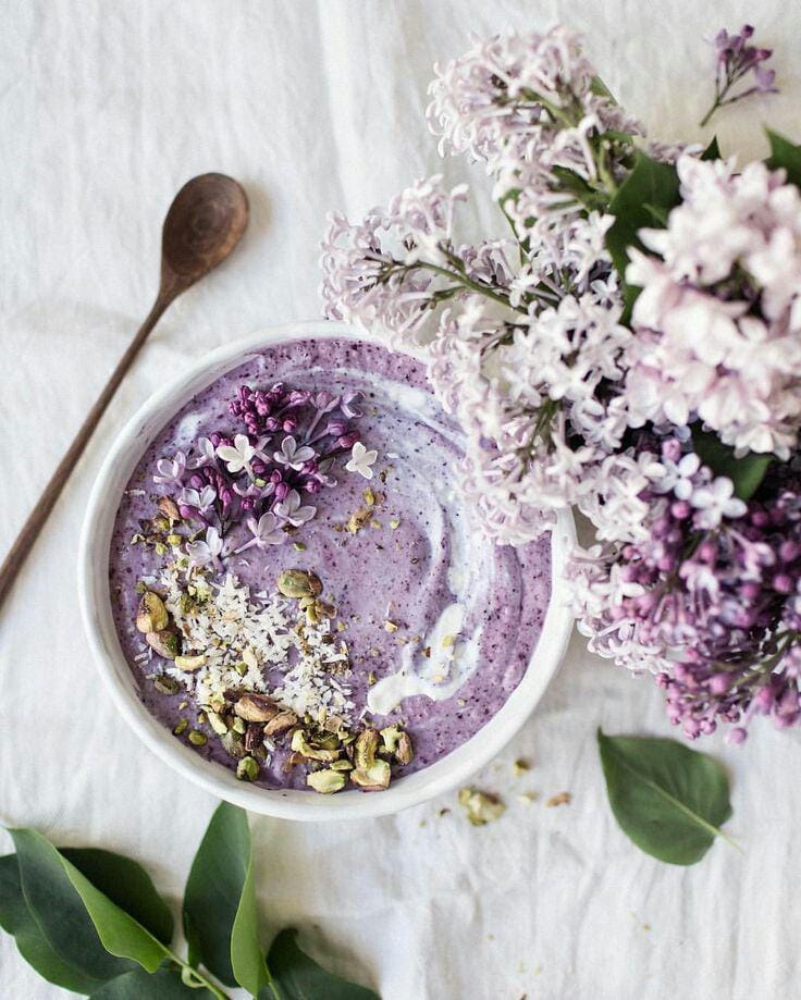 instagram.com/vanelja