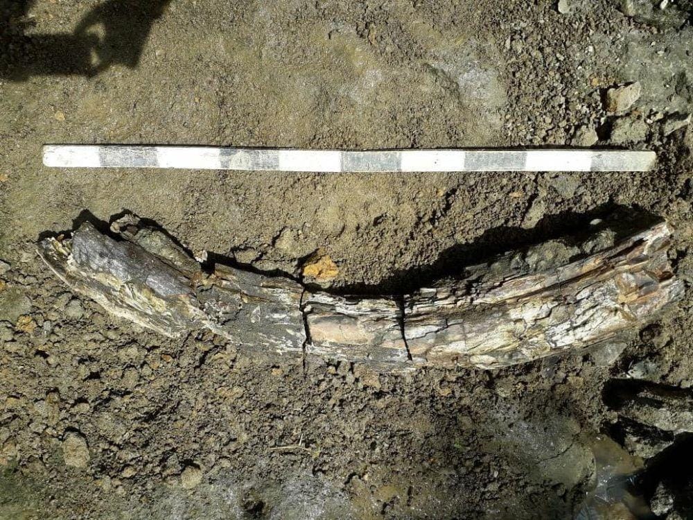 Instagram.com/@museum_situspatiayam