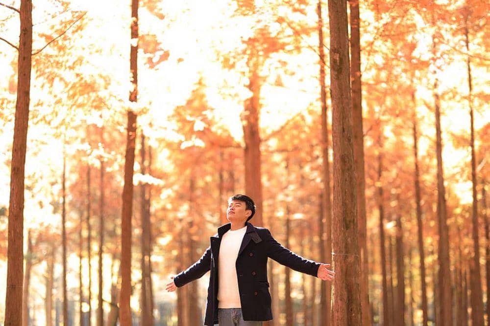 Instagram.com/hansoljang110