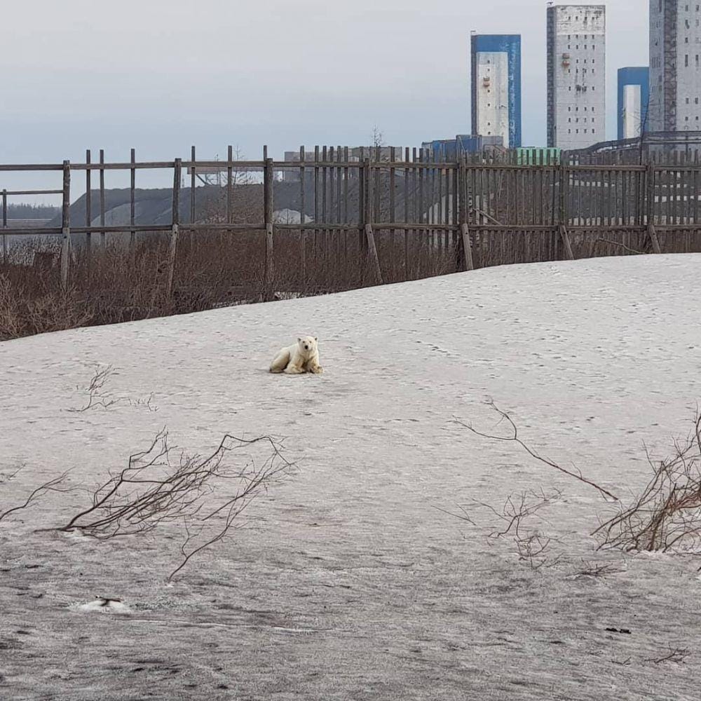 instagram.com/putoranatour