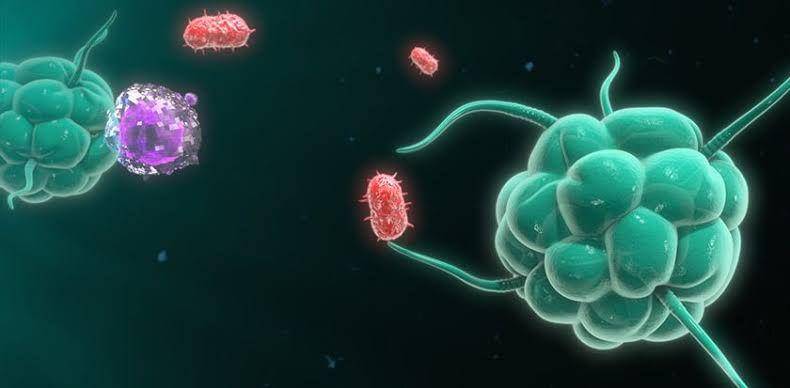 askthescientists.com