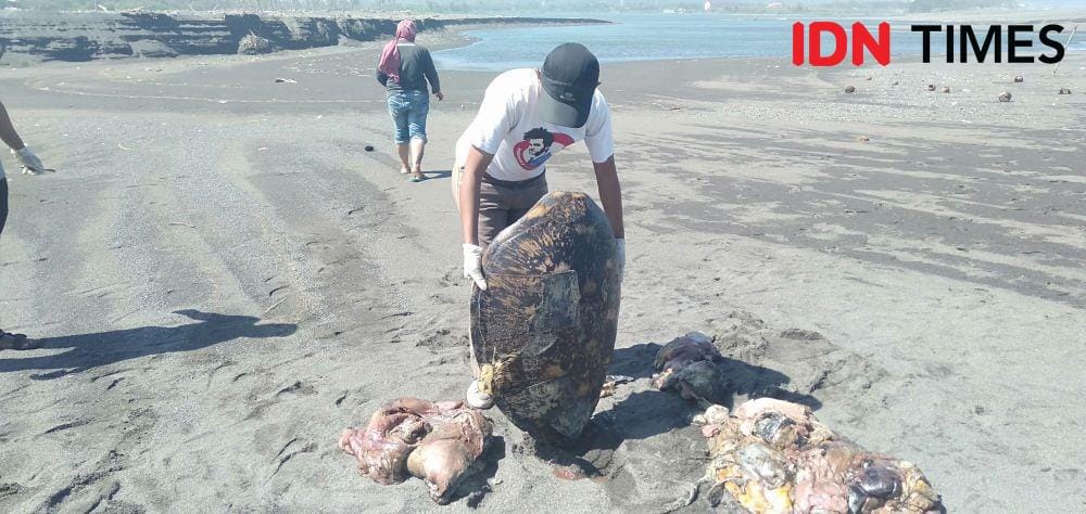 IDN Times/Daruwaskita