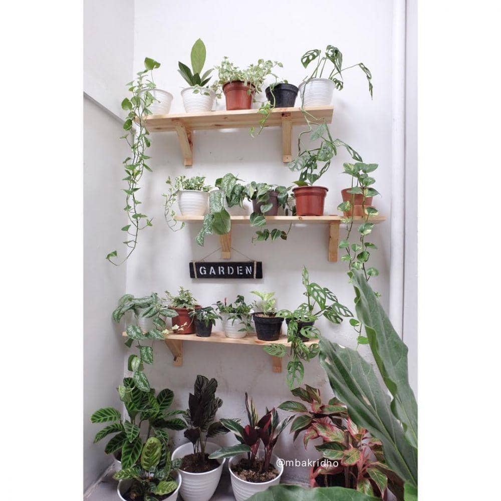 instagram.com/mbakridho