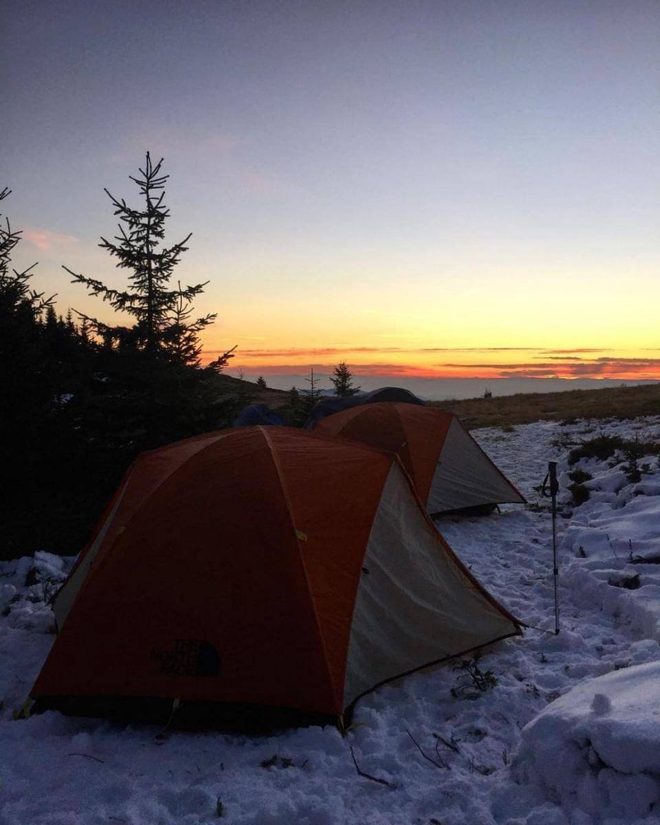 instagram.com/nikola_skubi_