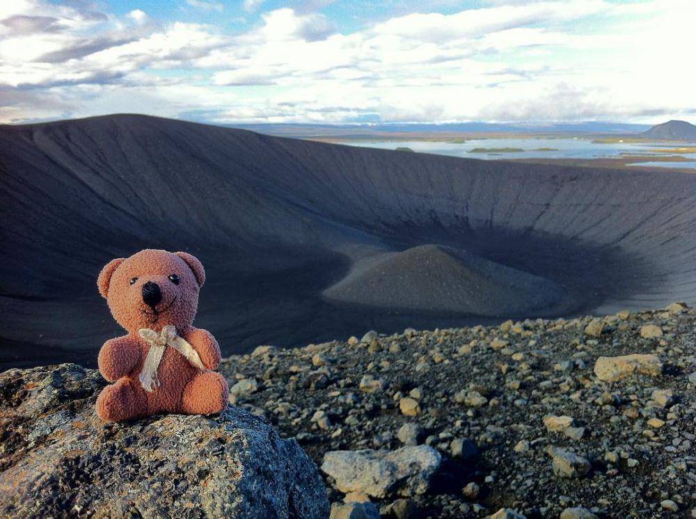 Instagram.com/teddybearabroad