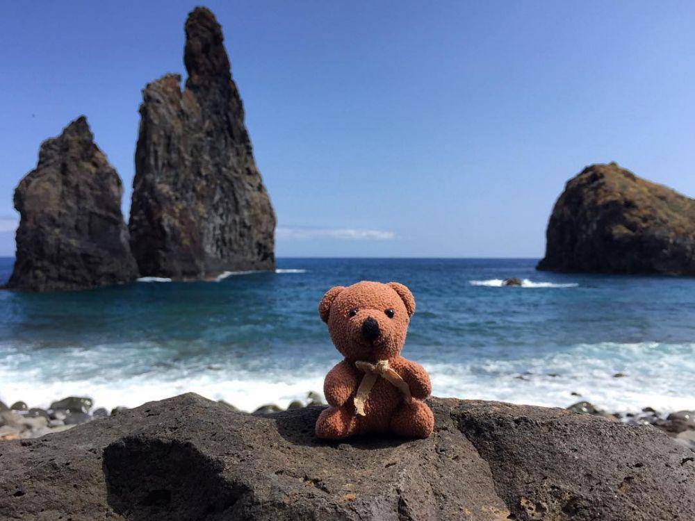 Instagram.com/teddybearabroad