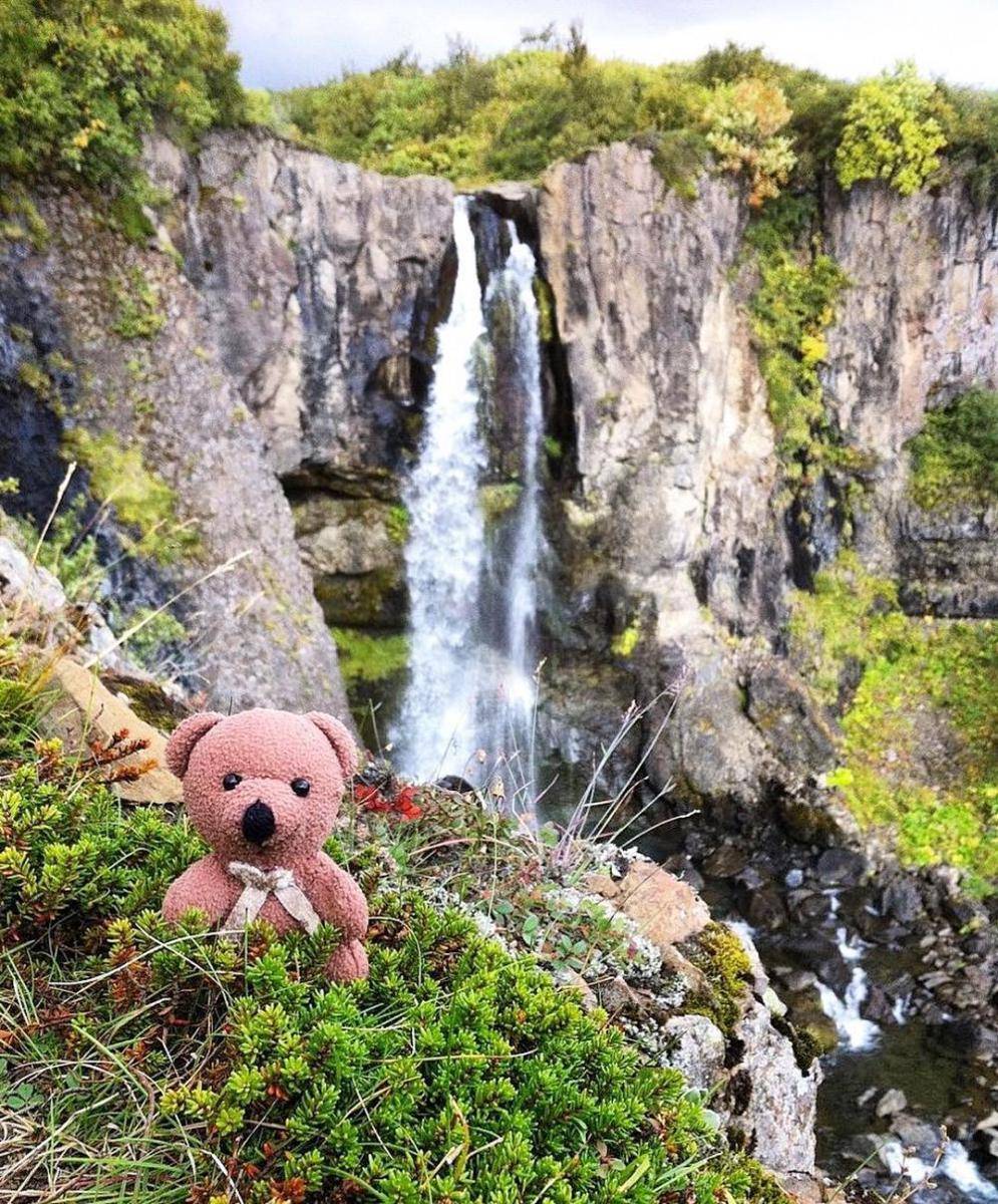 Instagram.com/teddybearabroad