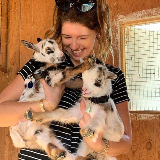 instagram.com/katherineschwarzenegger