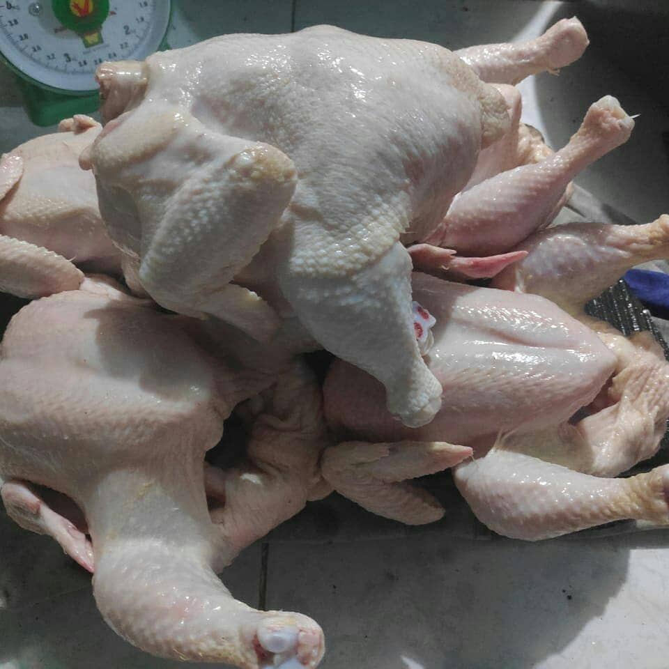 instagram.com/dansfood_yhuna