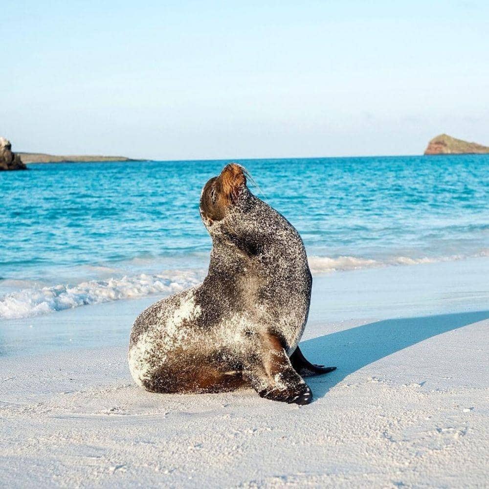 instagram.com/guneyamerika.seyahat