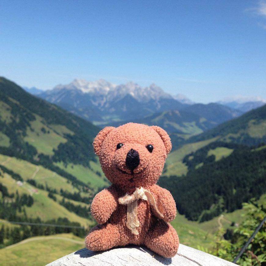 Instagram.com/teddybearabroad