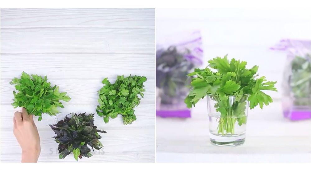 youtube.com/5-Minute Crafts