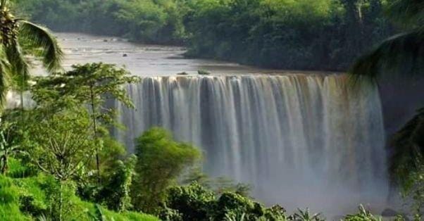 IDN Times/Toni Kamajaya