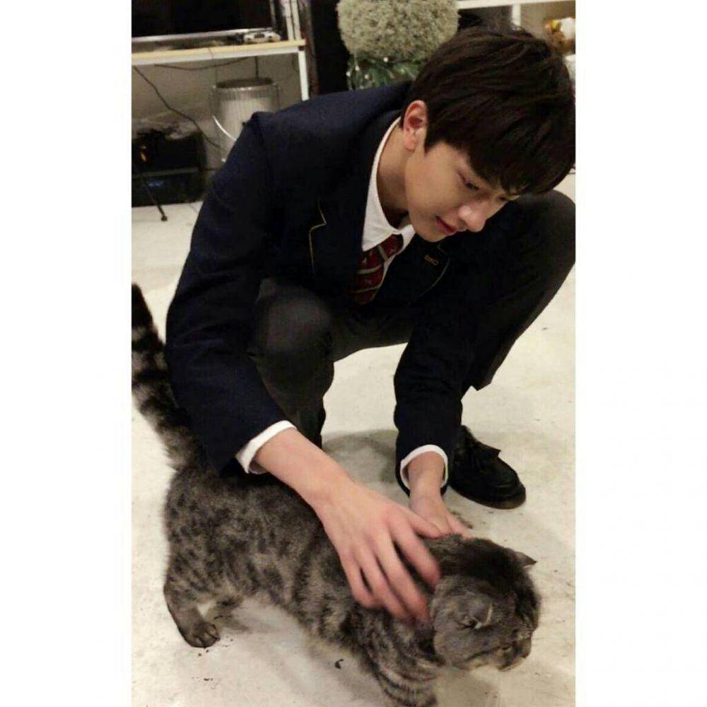 Instagram.com/linyi_99