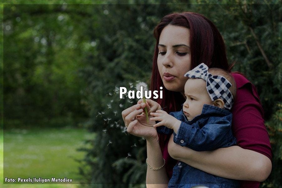 IDN Times/Febriyanti Revitasari