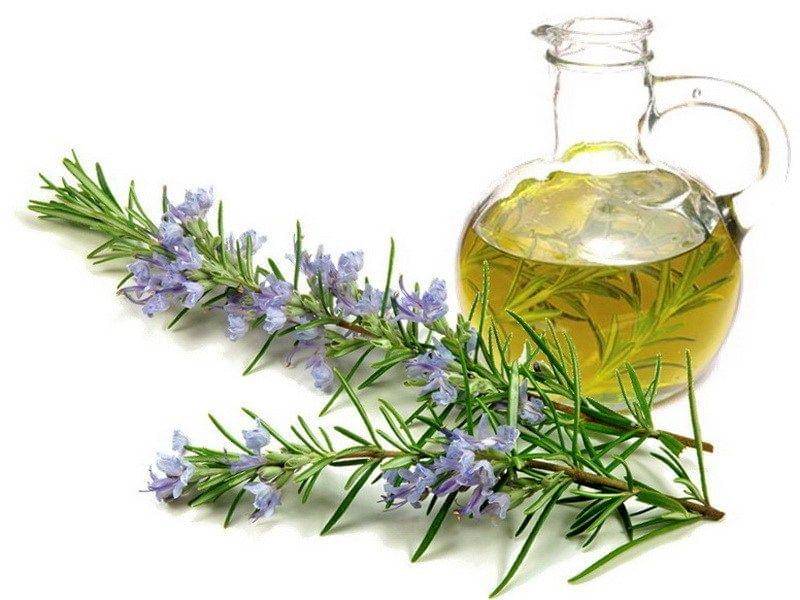 getnaturalessentialoils.com