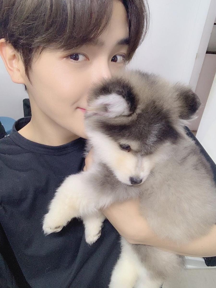 twitter.com/we_the_boyz