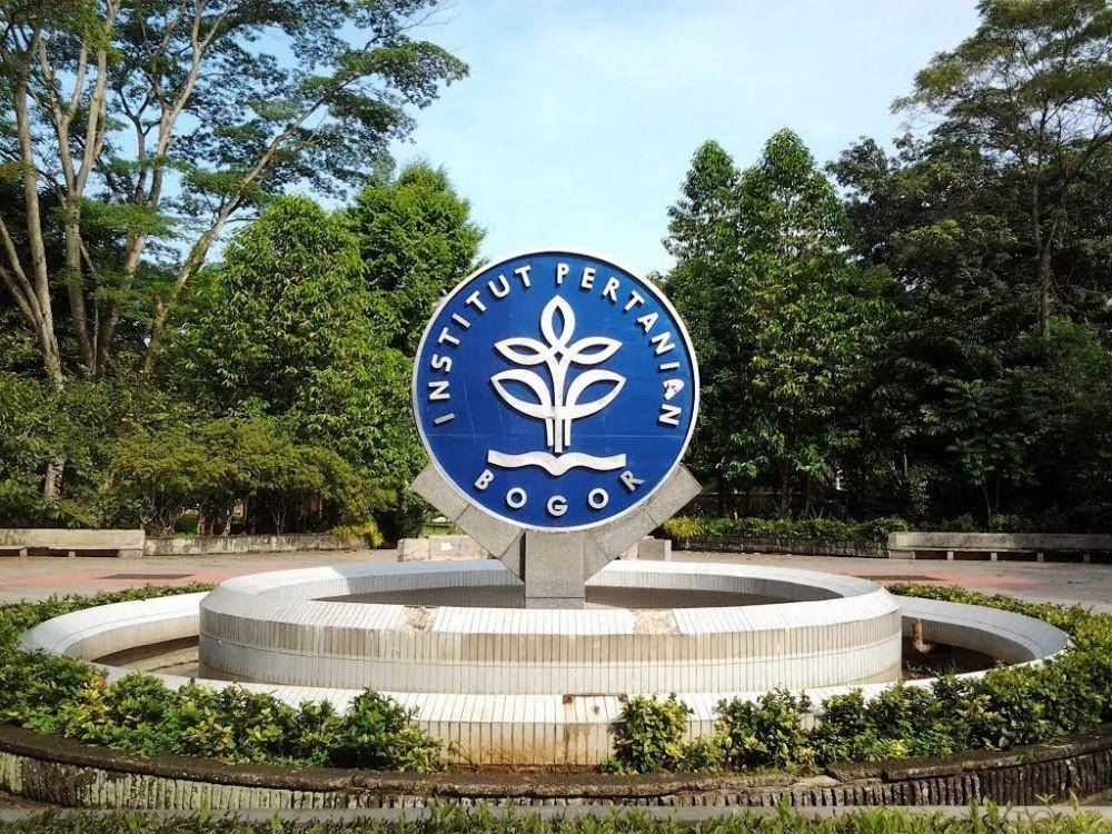 bogor.net