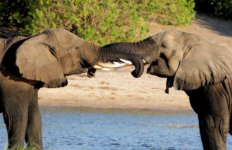 unsplash.com/Wynand Uys