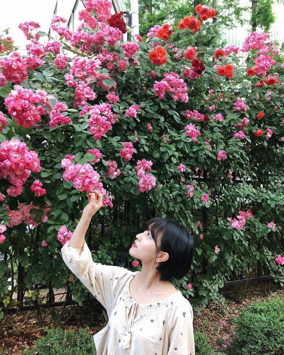 Instagram.com/kannamingoo