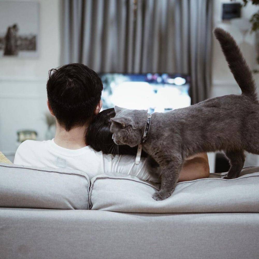 instagram.com/syahnazs