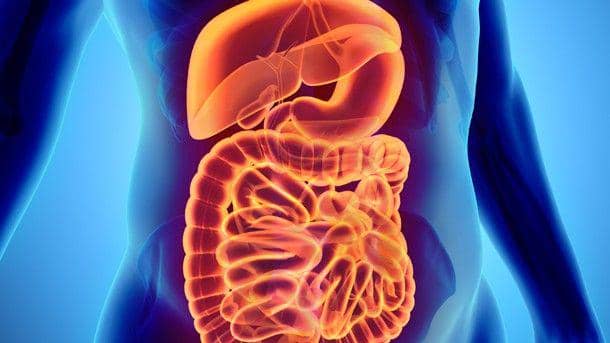 foodmanufacture.co.uk