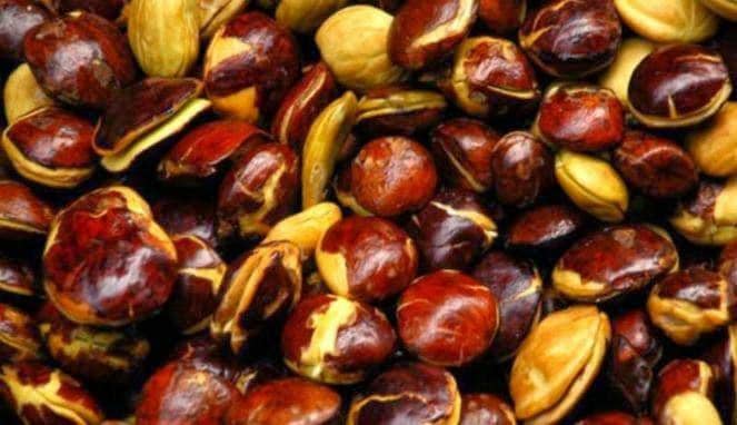 drhealthbenefits.com