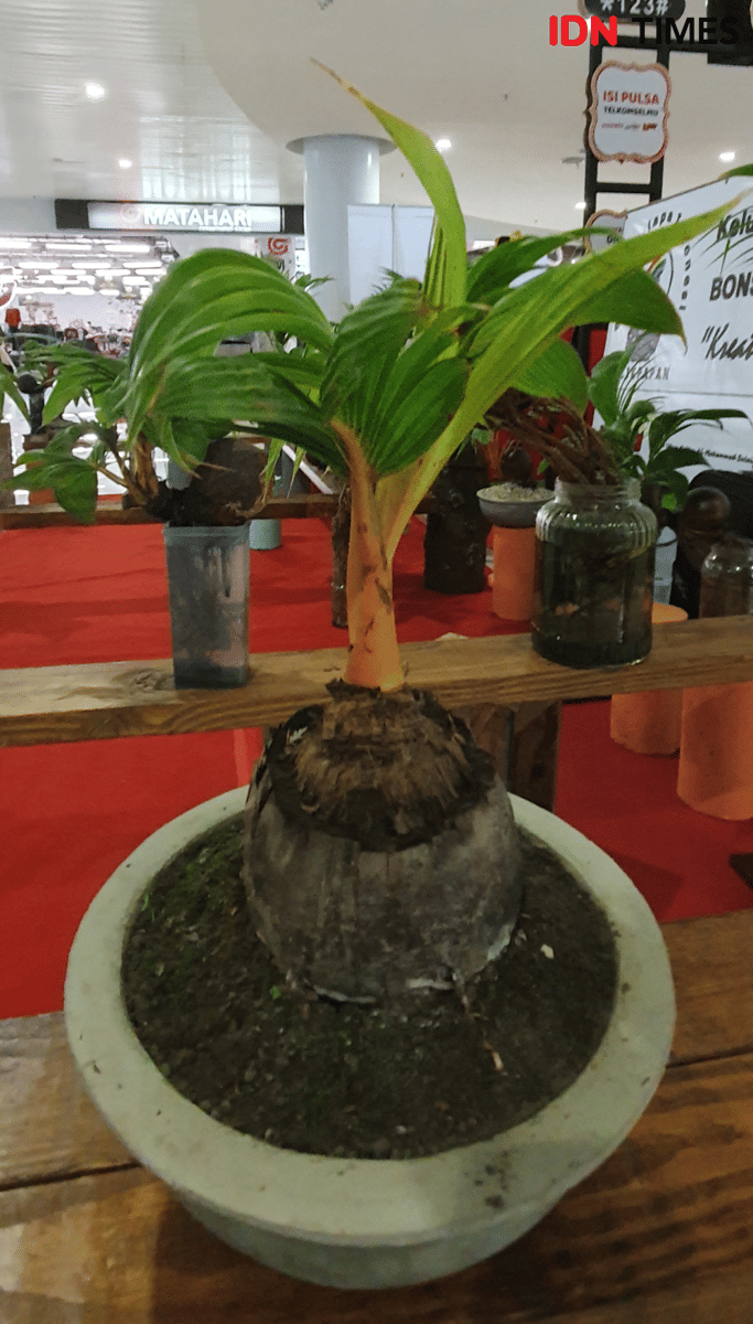 IDN Times/Mela Hapsari