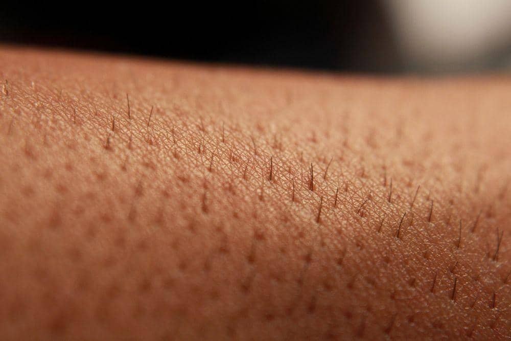 dermatologyconsultants.com