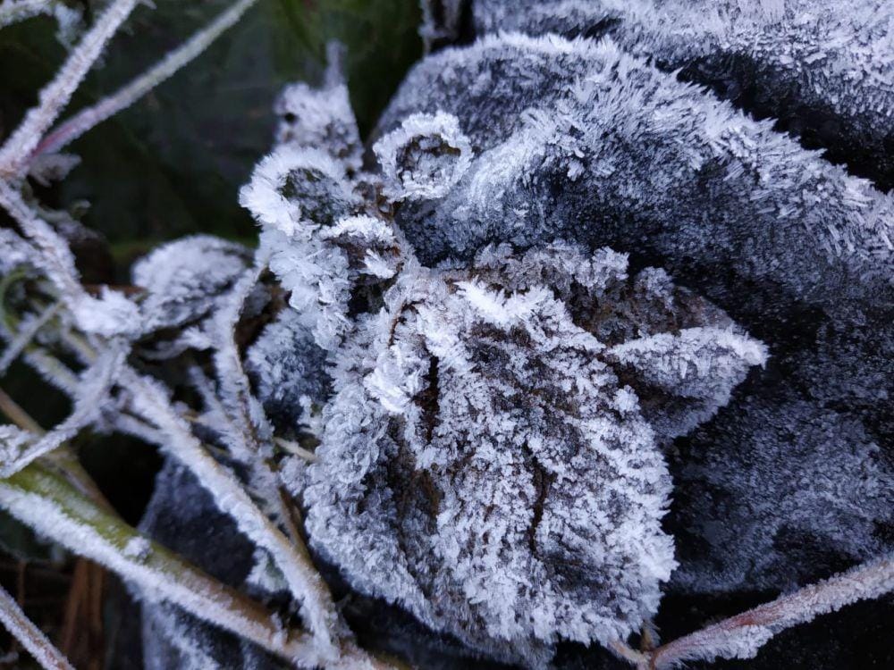 Dok. Aryadi Darwanto