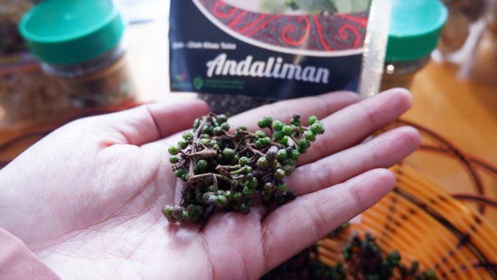 instagram.com/novitania18