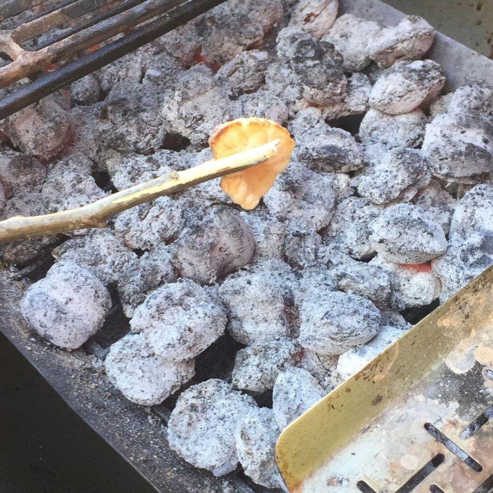 instagram.com/friend_a_gaby/