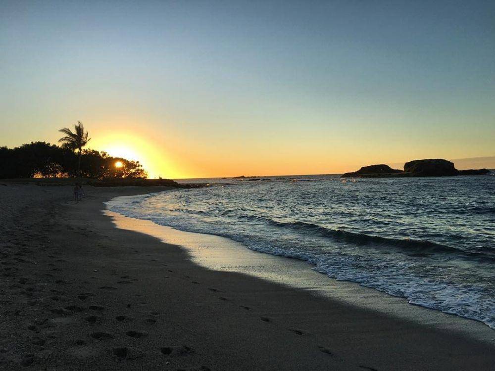 instagram.com/alexmorgan13