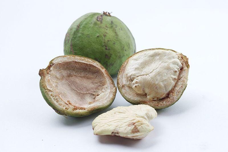 commons.m.wikimedia.org