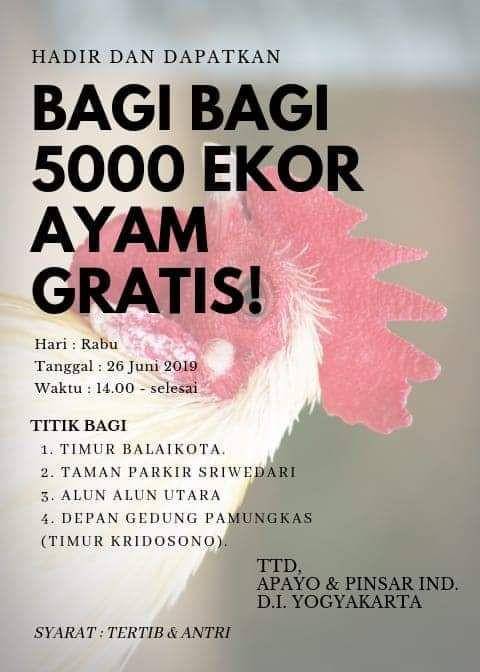 IDN Times/Istimewa