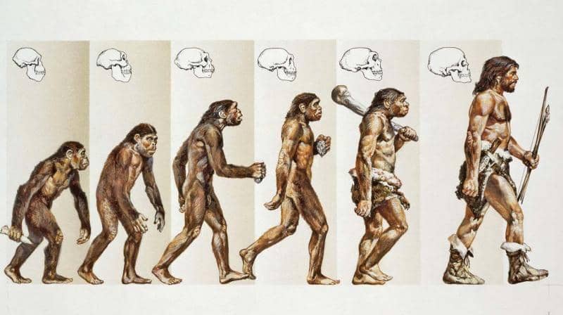 evolution-facts.org