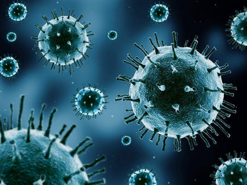 easyhealthoptions.com