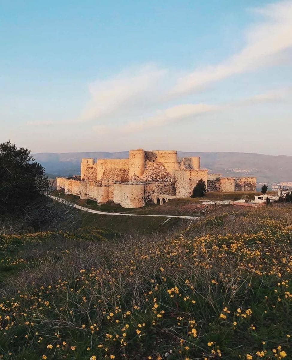 instagram.com/syrianamericanforum