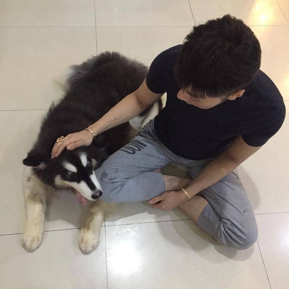 instagram.com/cellinefoxylouisekiyoshi