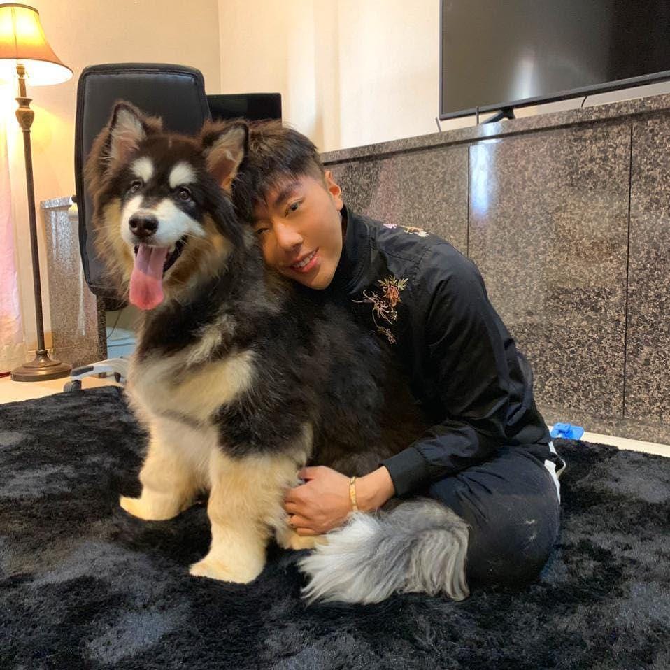 instagram.com/cellinefoxylouisekiyoshi