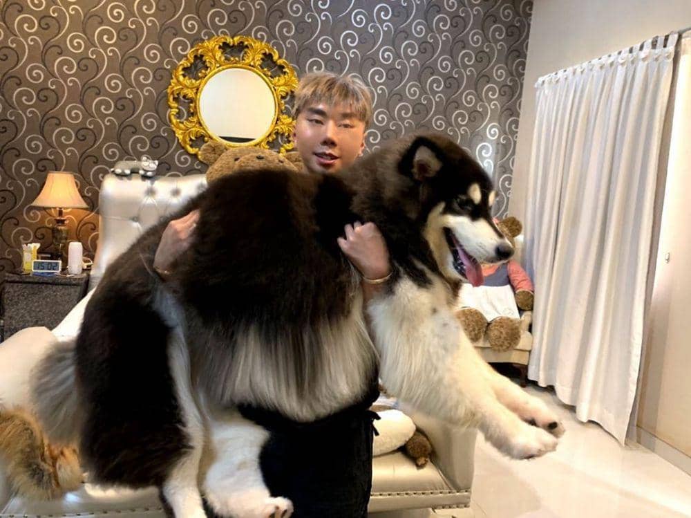 instagram.com/roykiyoshi