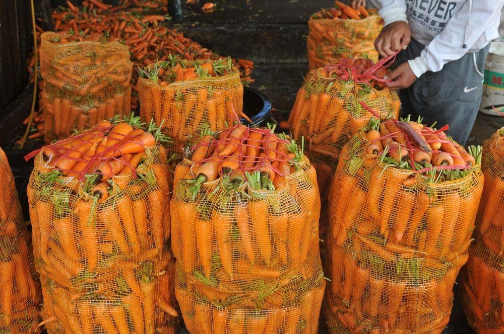 ANTARA FOTO/Wahdi Septiawan