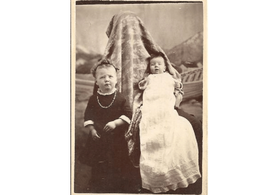 pinterest.com/bluebirdblue