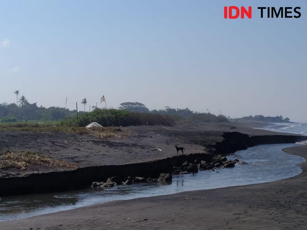 IDN Times/Wayan Antara